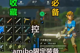 你可能没见过的amibo限定装备【塞尔达传说 荒野之息】视频封面