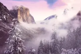 种自己的花，爱自己的宇宙。视频封面