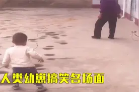 人类幼崽搞笑瞬间，小小年纪被一群羊欺负，这也太离谱了吧视频封面