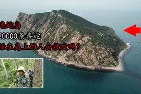 大连蛇岛20000条毒蛇，毒性越来越强，生活在岛上的人会被咬吗？视频封面