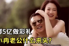 豪掷5亿做彩礼后，又送8.3亿最贵豪宅，李小冉的老公什么来头？视频封面