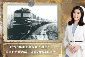 1955年毛主席专列“遇袭”，犯人落网后毛主席却替他求情，为何？视频封面
