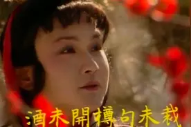 贾宝玉芦雪庵“即景联句”作诗被罚，踏雪寻梅诗兴大发视频封面