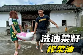 小李种的油菜籽大丰收，洗干净晒干准备榨菜油，辛苦种的吃着放心视频封面