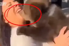俄罗斯女子和小熊合影 下秒被“狠咬下巴”惨叫！视频封面
