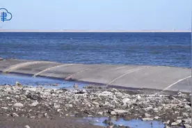 天津加快海岸线生态修复工程，为子孙后代打造一片“蓝色海湾”视频封面