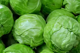 自制开胃小菜腌包菜，酸辣下饭，过程详细，一次腌五斤不够吃！