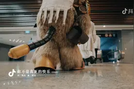 你不是真正的快乐开口跪，叫醒了无数人的青春回忆视频封面