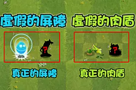虚假的屏障vs真正的屏障，都发生了哪些改变？视频封面