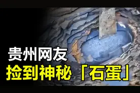 贵州网友山上捡到神秘“石蛋”，像洋葱一层一层，它究竟是什么？