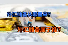 外汇储备是什么？我国拥有3万亿美元外汇储备，这些钱属于谁？视频封面