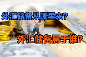外汇储备是什么？我国拥有3万亿美元外汇储备，这些钱属于谁？视频封面
