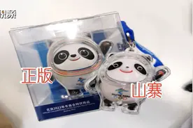 “朋友圈”买到假“冰墩墩” 网络购物需谨慎视频封面