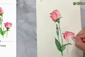 用彩铅教你画桔梗花，看着看着就会了