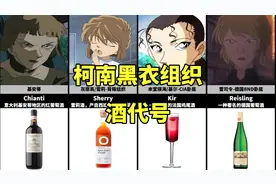 柯南中黑衣组织酒名盘点，发现琴酒太难了，大家知道为什么吗？视频封面