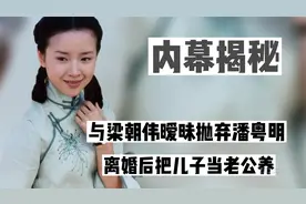 "单亲妈妈"董洁：与潘粤明离婚抚养儿子顶顶，如今怎么样了视频封面