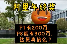 阿里年终奖P7有200万，P8有300万吗？互联网大厂薪资大揭秘！视频封面