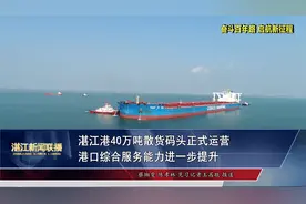 湛江港40万吨散货码头正式运营   港口综合服务能力进一步提升视频封面