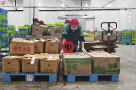 保障上海菜篮子“最后一公里”：叮咚买菜500名一线员工重返岗位视频封面