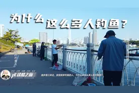 为什么南宁邕江这么多人钓鱼，我发现邕江岸边到处都是钓鱼的人视频封面