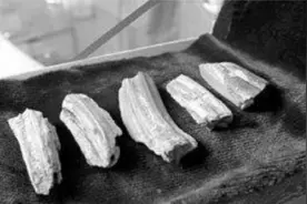 辽宁八旬老汉，称9岁见过真龙，晚年主动上交5块“龙骨”引热议视频封面