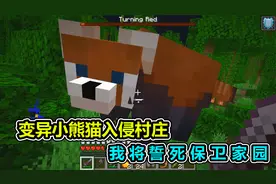 MC我的世界：变异小熊猫入侵村庄，要不要打败它呢？视频封面