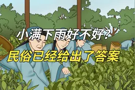 小满下雨好不好？民俗已经给出了答案，处处充满智慧视频封面