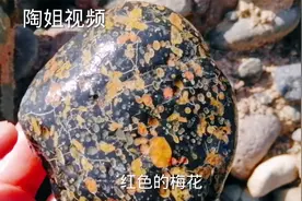 高速桥下重大发现，绝对让你大开眼界，快来看看吧视频封面