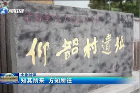 【大象时评】知其所来 方知所往视频封面