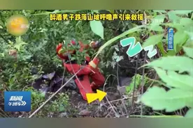 男子醉酒不慎跌落山坡，因呼噜声太大引来救援，获救全程呼呼大睡视频封面