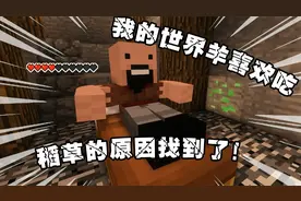 我的世界羊喜欢吃稻草的原因找到了！居然是因为这样！？