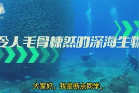 令人毛骨悚然的深海生物，你都害怕哪种？还是希望当宠物去饲养？视频封面