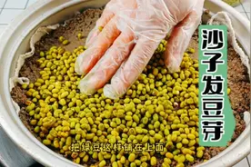 万万没想到！沙子还可以发豆芽，又粗又壮还是无根豆芽视频封面