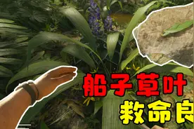 绿色地狱3：找到大量草药，制作救命良药，没想到真派上用场了！