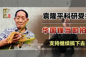 1976年袁隆平科研受挫，华国锋主席拍板：拨款150万13省推广视频封面