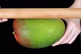 今天才知道，剥芒果只用一根擀面杖，不脏手不流汁，果肉还不浪费