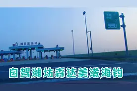 垂钓是一种休闲,一种放松,一种悠闲!自驾潍坊森达美港海钓视频封面