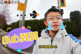 安全教育日来了！演示怎么过加拿大村口马路，看我这小心翼翼的视频封面