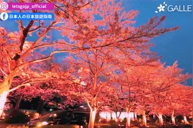 台湾妹妹带你2022日本赏樱第二期。帶你看六本木中城开满樱花！视频封面