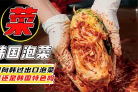 2分钱没人要的大白菜，山东小镇做成泡菜后，被韩国人抢着买！视频封面