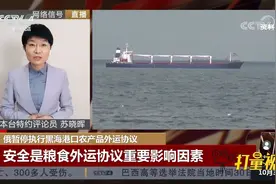 俄方暂停执行黑海港口农产品外运协议，听专家解读|中国新闻视频封面