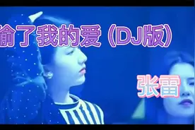 张雷 - 你偷了我的爱 (DJ版)视频封面