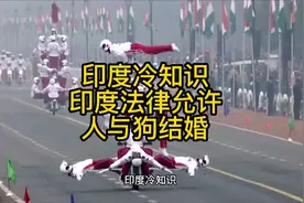 印度冷知识@DOU+小助手 印度法律允许人与狗结婚视频封面