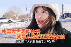 冰雪大世界今年还办不办了？去年赔的那么惨，今年采冰现场没动静