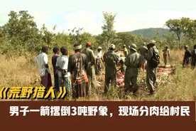 男子拿复合弓非洲狩猎，一箭撂倒3吨野象，现场分肉给当地村民视频封面