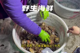 青岛麦岛码头，两个月以来第一次出海捕捞，收到信息，马上就来了视频封面