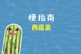 西瓜条是什么梗【梗指南】视频封面