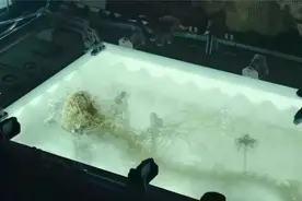 科学家做秘密实验，活人被改造成神秘幽灵，非人非鬼却力量惊人视频封面