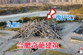 合肥耗资近2亿的奇葩鸟巢建筑，空中俯瞰像一个柴火堆，涨见识了