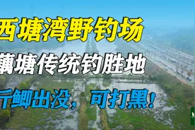 西塘湾野钓场，长沙醉好的炮竿野钓大板鲫天堂！关键还可以打黑！视频封面